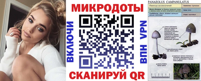 купить наркотики сайты  Чёрмоз  Псилоцибиновые грибы Psilocybine cubensis 